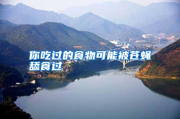 你吃過的食物可能被蒼蠅舔食過