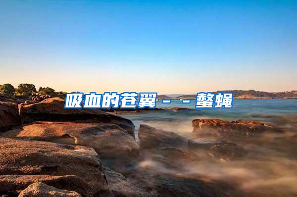 吸血的蒼翼--螫蠅