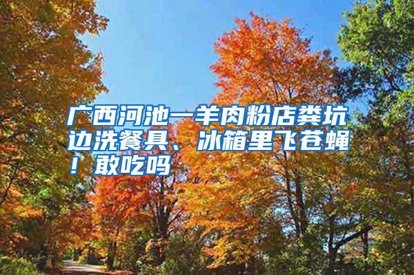 廣西河池一羊肉粉店糞坑邊洗餐具、冰箱里飛蒼蠅！敢吃嗎