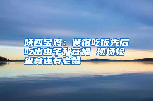 陜西寶雞:餐館吃飯先后吃出蟲子和蒼蠅 現場檢查竟還有老鼠