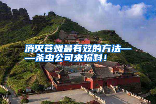 消滅蒼蠅最有效的方法——殺蟲公司來爆料！