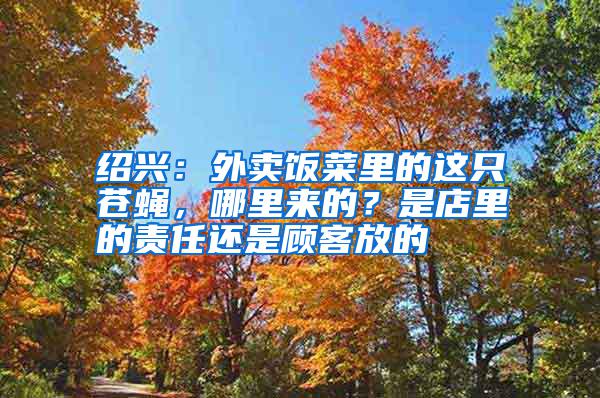 紹興:外賣飯菜里的這只蒼蠅,哪里來的?是店里的責任還是顧客放的