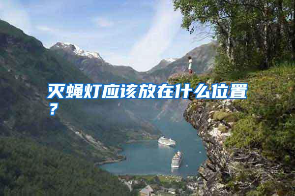 滅蠅燈應該放在什么位置?