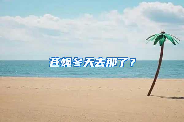 蒼蠅冬天去那了？