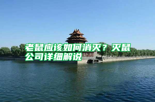 老鼠應(yīng)該如何消滅?滅鼠公司詳細(xì)解說(shuō)