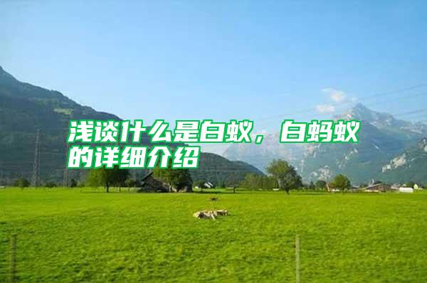 淺談什么是白蟻，白螞蟻的詳細(xì)介紹