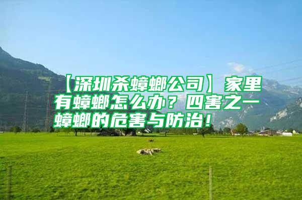 【深圳殺蟑螂公司】家里有蟑螂怎么辦？四害之一蟑螂的危害與防治！
