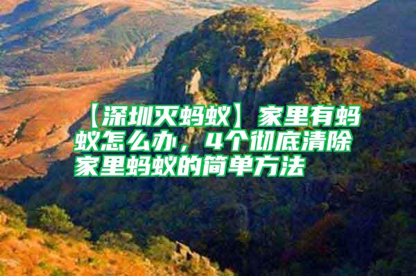 【深圳滅螞蟻】家里有螞蟻怎么辦，4個徹底清除家里螞蟻的簡單方法