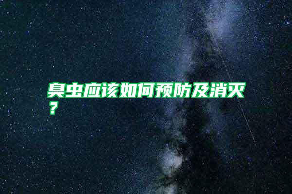 臭蟲應該如何預防及消滅？