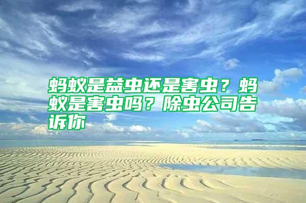 螞蟻是益蟲還是害蟲？螞蟻是害蟲嗎？除蟲公司告訴你