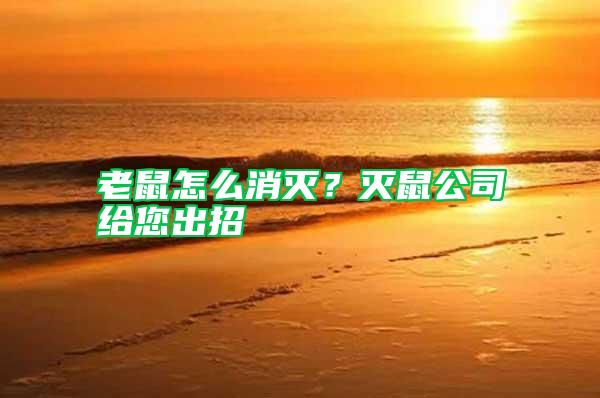 老鼠怎么消滅？滅鼠公司給您出招