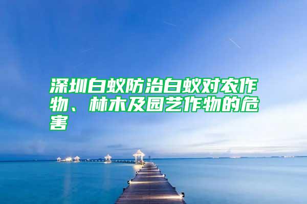 深圳白蟻防治白蟻對農作物、林木及園藝作物的危害