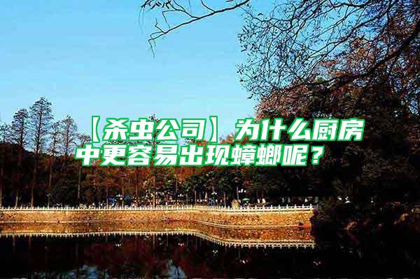 【殺蟲(chóng)公司】為什么廚房中更容易出現(xiàn)蟑螂呢？