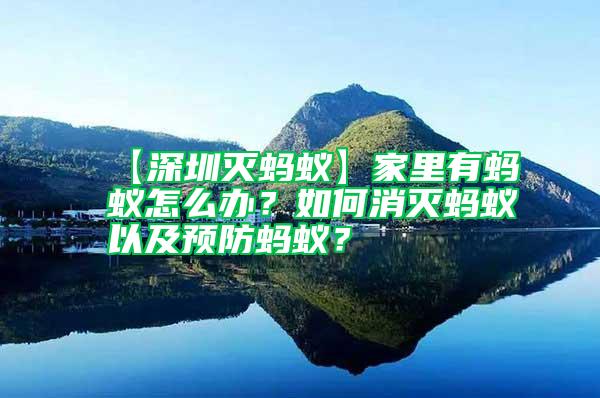 【深圳滅螞蟻】家里有螞蟻怎么辦?如何消滅螞蟻以及預(yù)防螞蟻?