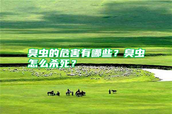 臭蟲的危害有哪些？臭蟲怎么殺死？