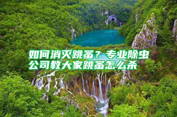 如何消滅跳蚤?專業除蟲公司教大家跳蚤怎么殺