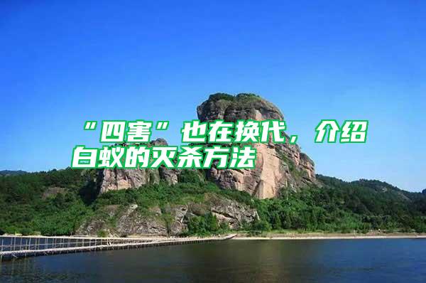 “四害”也在換代,介紹白蟻的滅殺方法