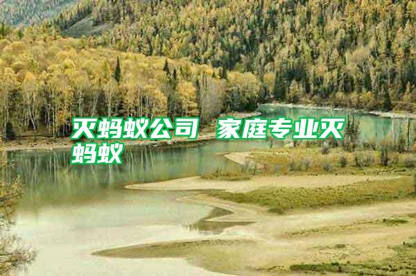 滅螞蟻公司 家庭專(zhuān)業(yè)滅螞蟻