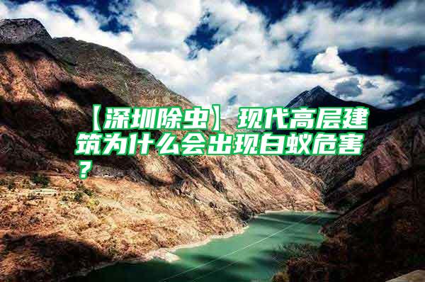 【深圳除蟲】現代高層建筑為什么會出現白蟻危害?