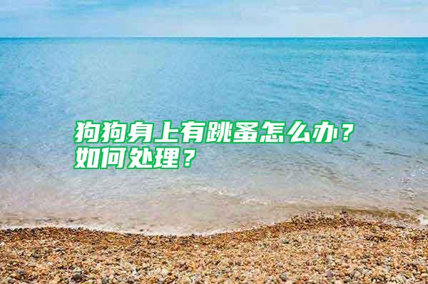 狗狗身上有跳蚤怎么辦？如何處理？