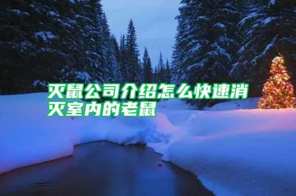 滅鼠公司介紹怎么快速消滅室內的老鼠