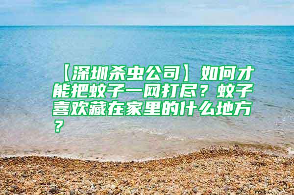 【深圳殺蟲公司】如何才能把蚊子一網打盡?蚊子喜歡藏在家里的什么地方?