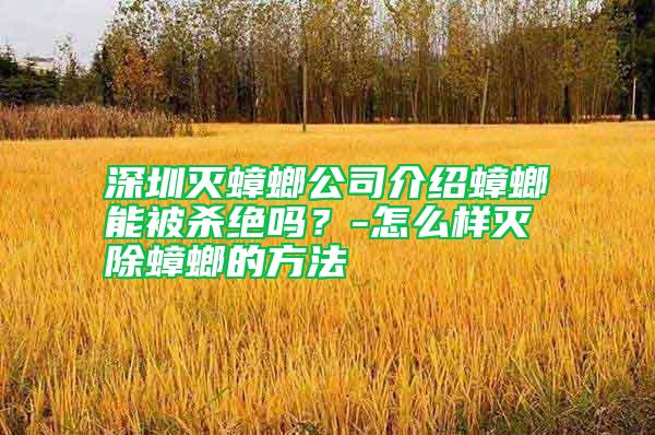 深圳滅蟑螂公司介紹蟑螂能被殺絕嗎？-怎么樣滅除蟑螂的方法