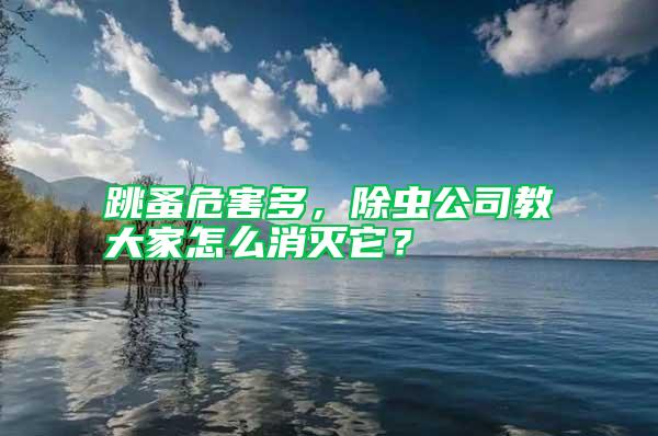 跳蚤危害多,除蟲公司教大家怎么消滅它?