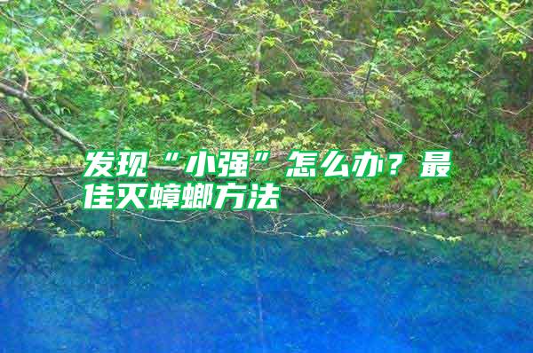 發現“小強”怎么辦？最佳滅蟑螂方法