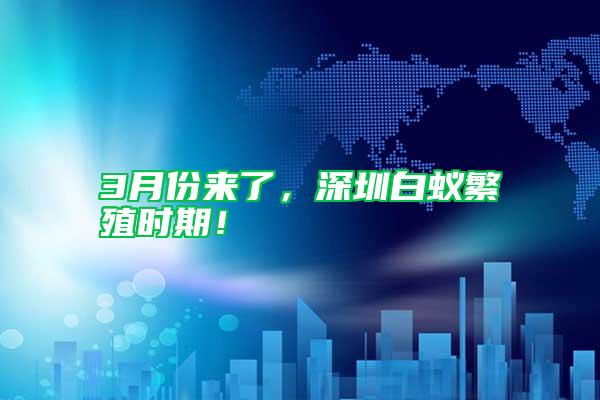 3月份來了,深圳白蟻繁殖時期!