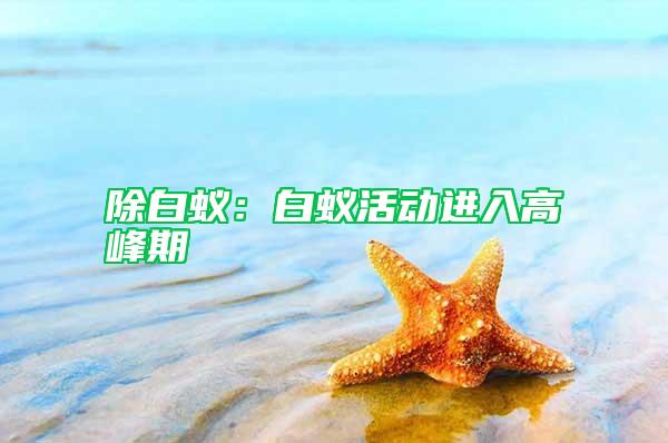 除白蟻：白蟻活動(dòng)進(jìn)入高峰期