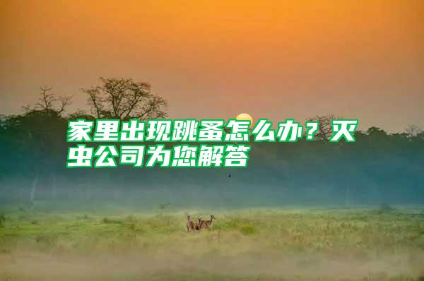 家里出現(xiàn)跳蚤怎么辦?滅蟲(chóng)公司為您解答