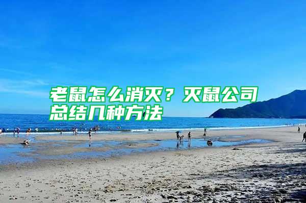 老鼠怎么消滅？滅鼠公司總結幾種方法