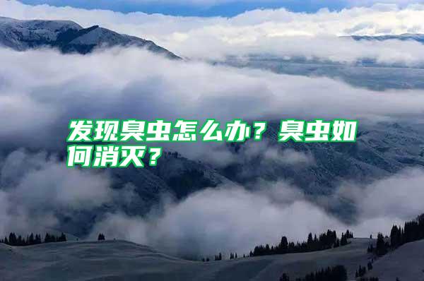 發現臭蟲怎么辦?臭蟲如何消滅?