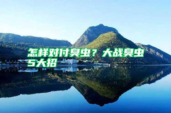 怎樣對付臭蟲？大戰(zhàn)臭蟲5大招