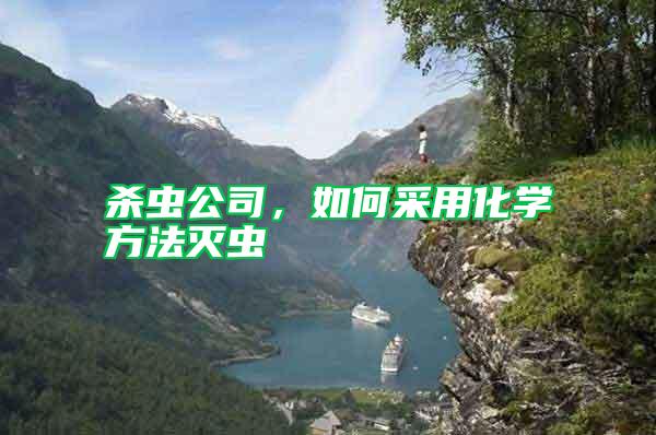 殺蟲(chóng)公司,如何采用化學(xué)方法滅蟲(chóng)