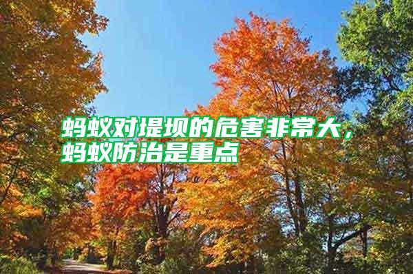 螞蟻對堤壩的危害非常大，螞蟻防治是重點