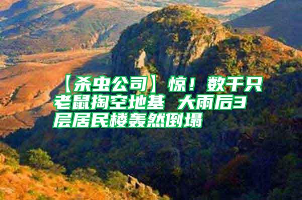 【殺蟲公司】驚！數千只老鼠掏空地基 大雨后3層居民樓轟然倒塌