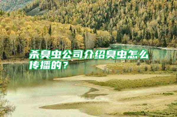 殺臭蟲公司介紹臭蟲怎么傳播的?