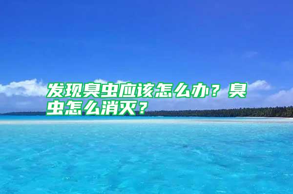 發現臭蟲應該怎么辦？臭蟲怎么消滅？