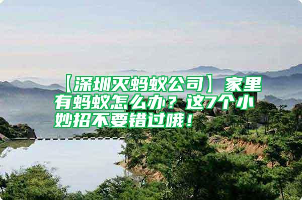 【深圳滅螞蟻公司】家里有螞蟻怎么辦？這7個小妙招不要錯過哦！