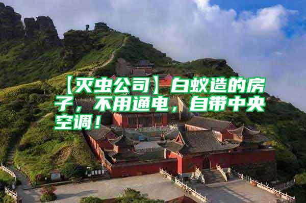 【滅蟲公司】白蟻造的房子，不用通電，自帶中央空調(diào)！