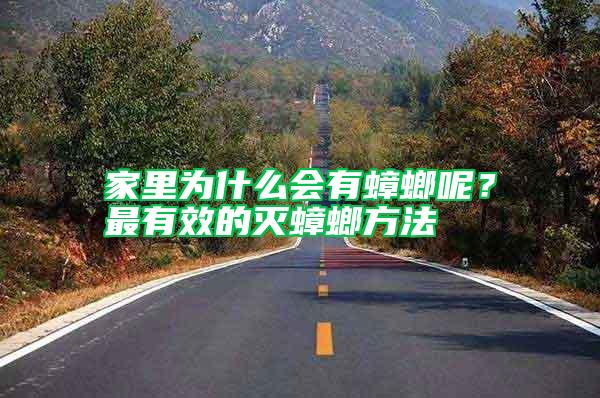 家里為什么會有蟑螂呢?最有效的滅蟑螂方法