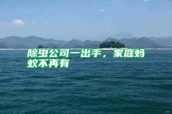 除蟲公司一出手,家庭螞蟻不再有