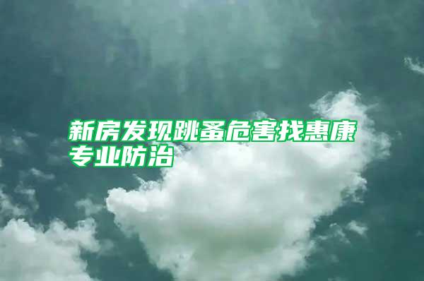 新房發(fā)現(xiàn)跳蚤危害找惠康專業(yè)防治