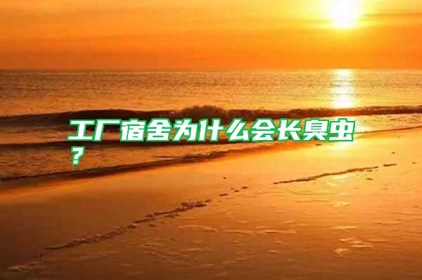 工廠宿舍為什么會(huì)長臭蟲?