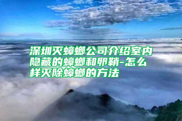 深圳滅蟑螂公司介紹室內隱藏的蟑螂和卵鞘-怎么樣滅除蟑螂的方法