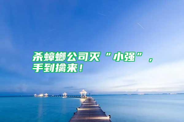 殺蟑螂公司滅“小強”，手到擒來！