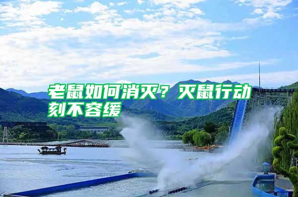 老鼠如何消滅？滅鼠行動刻不容緩