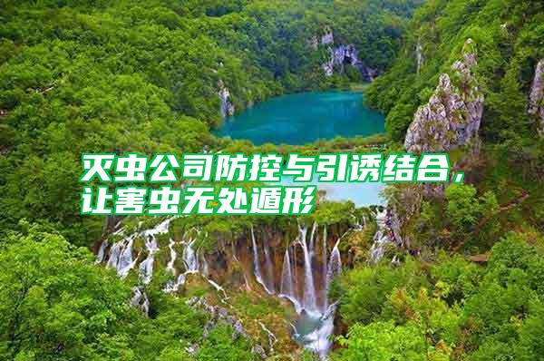 滅蟲(chóng)公司防控與引誘結(jié)合,讓害蟲(chóng)無(wú)處遁形